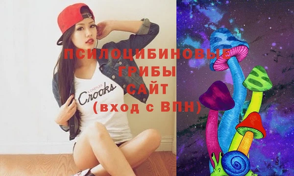 тгк Алексин
