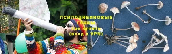 a pvp Абинск