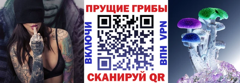 Псилоцибиновые грибы Magic Shrooms купить закладку Нижний Новгород